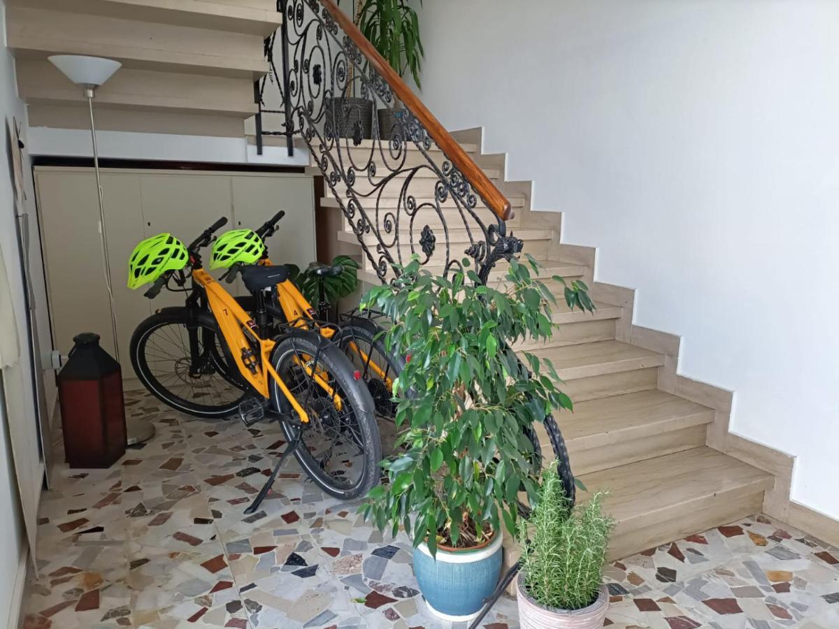 Balabuska Rooms & Garden Codevigo Экстерьер фото