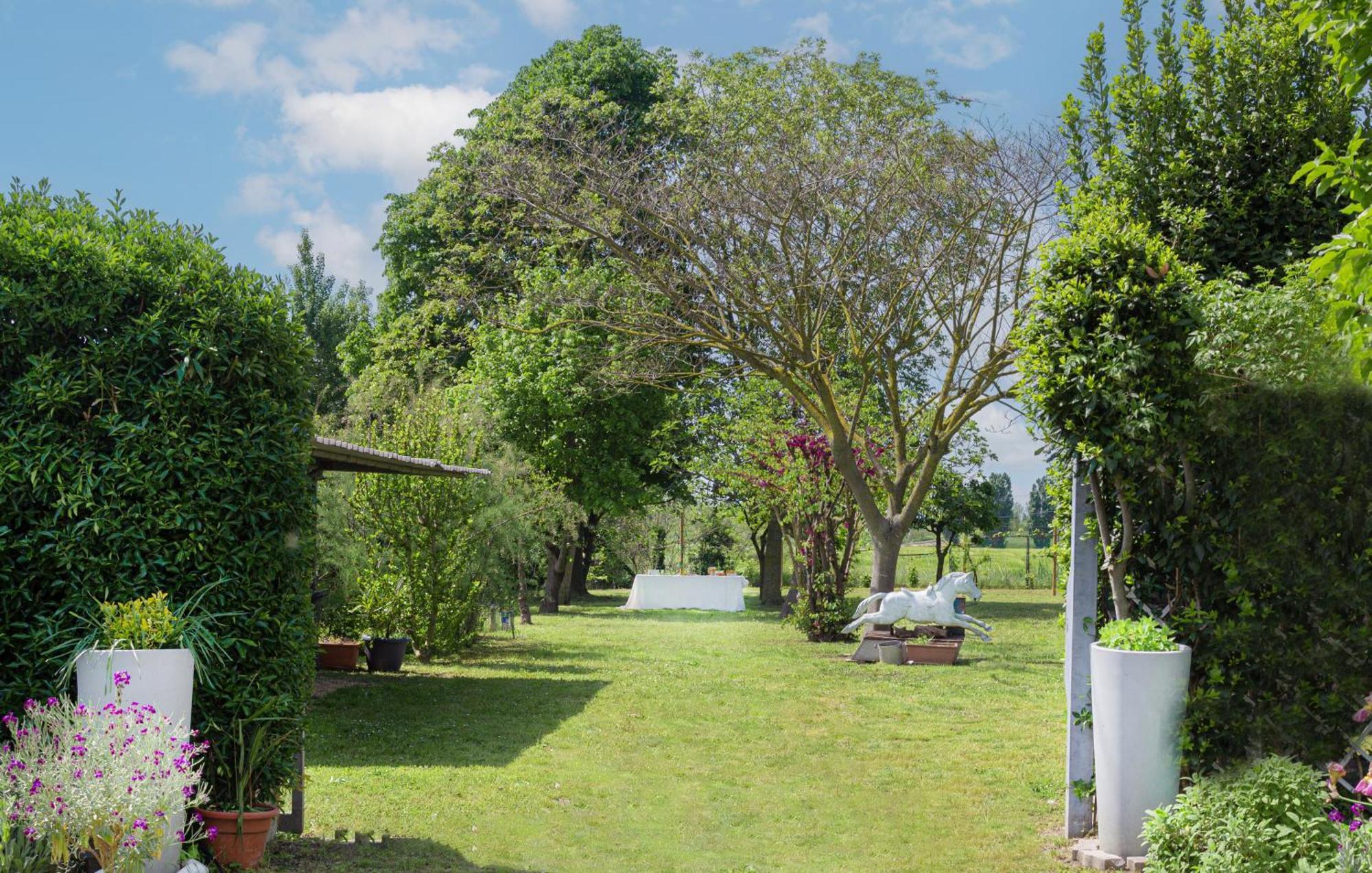 Balabuska Rooms & Garden Codevigo Экстерьер фото